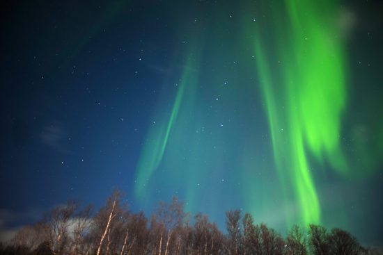 Brilliant green northern lights in the sky, where you can also see stars. 