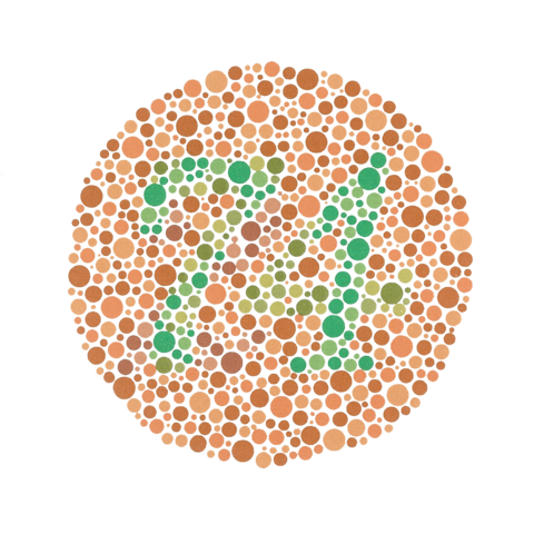 An Ishihara test plate consists of a solid circle of smaller coloured dots. The dots are of different shades of red and green in colour.