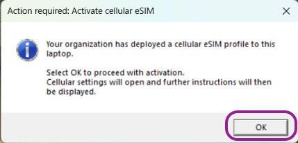 Action required: Activate cellular eSIM. To proceed with the activation, select OK. The window has an OK button.